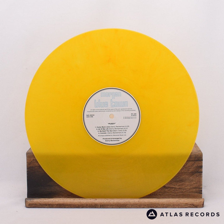 Pussy - Pussy Plays - Ginger Limited Edition Reissue A B LP Vinyl Record - EX/NM