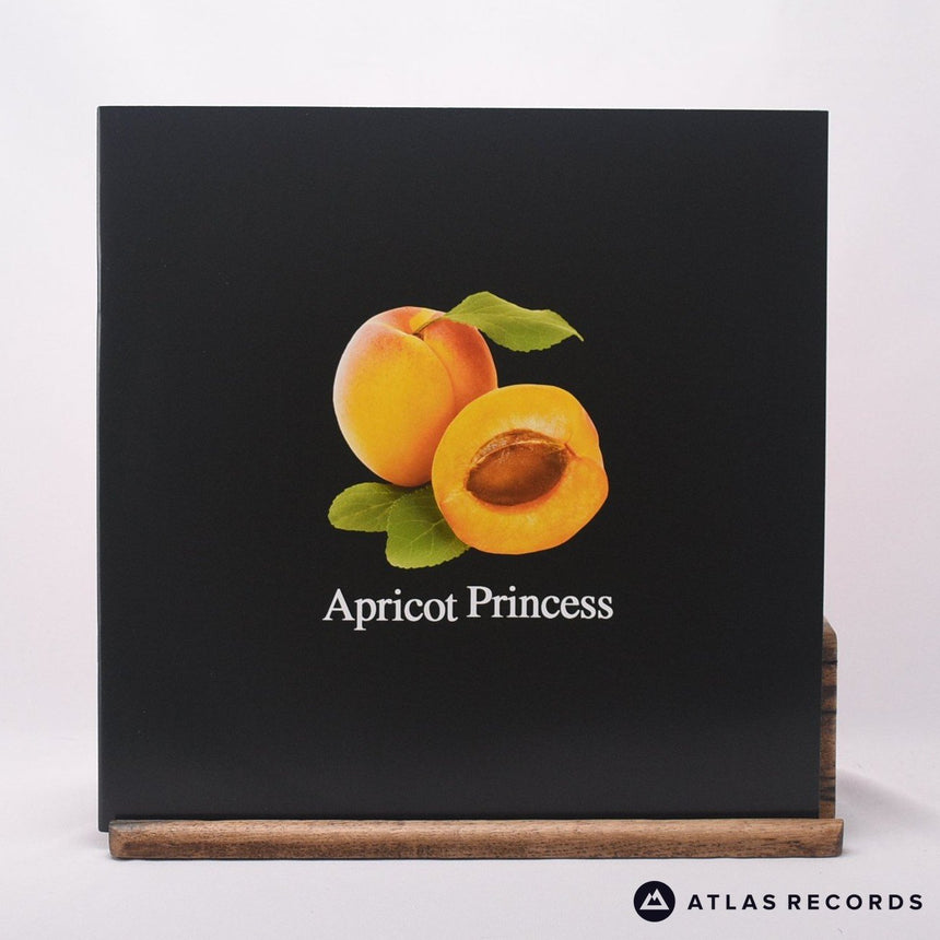 Rex Orange County - Apricot Princess - LP Vinyl Record - EX/NM