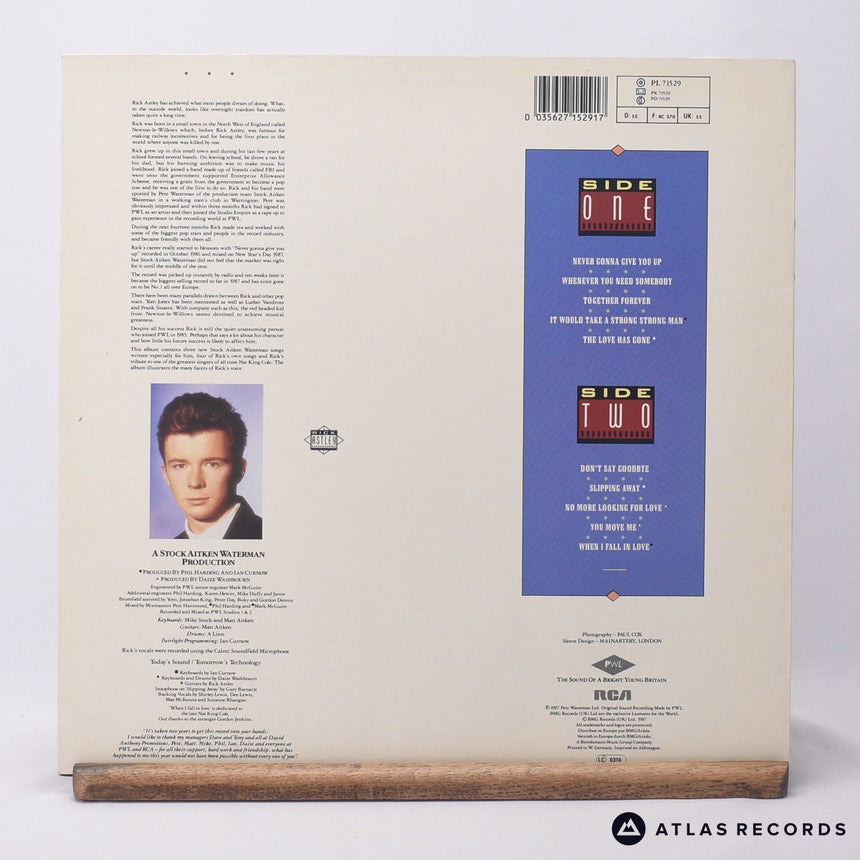 Rick Astley - Whenever You Need Somebody - LP Vinyl Record - EX/EX