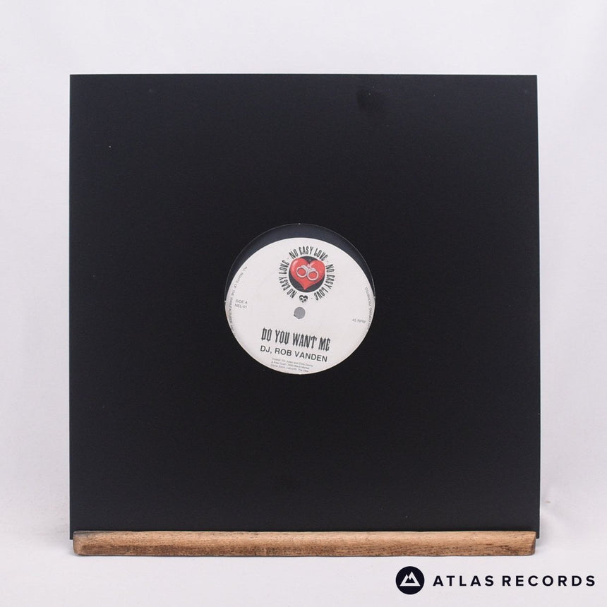 Rob Vanden Do You Want Me 12" Vinyl Record - In Sleeve