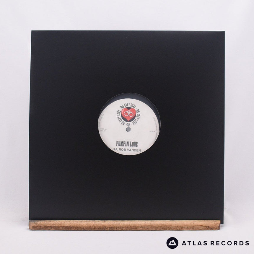 Rob Vanden - Do You Want Me / Pumpin Love - 12" Vinyl Record -