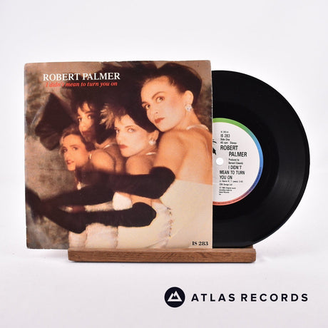 Robert Palmer I Didn't Mean To Turn You On 7" Vinyl Record - Front Cover & Record