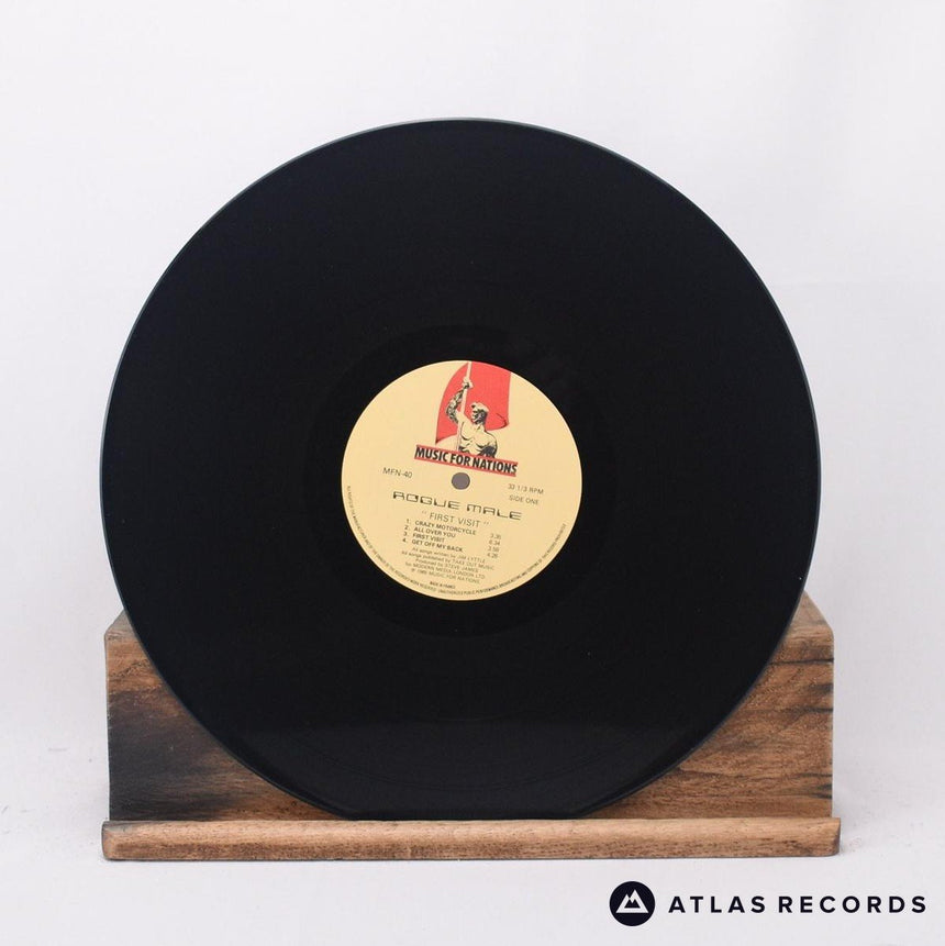 Rogue Male - First Visit - LP Vinyl Record - EX/EX