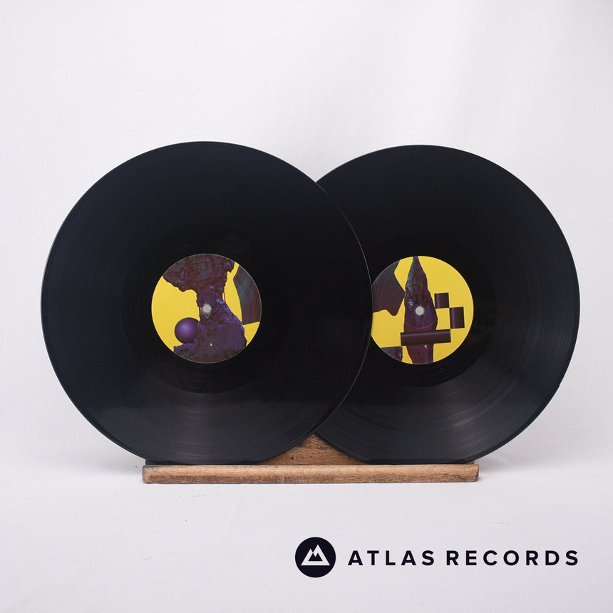 Ross From Friends - Family Portrait - Obi A B C D 2 x LP Vinyl Record - NM/EX