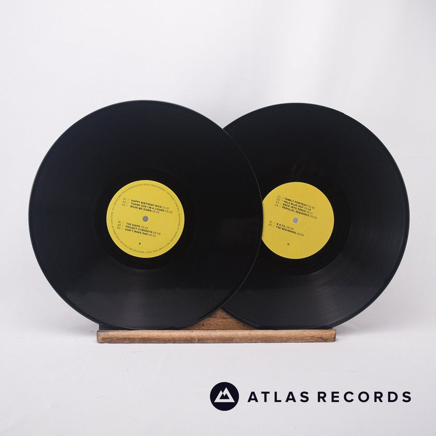 Ross From Friends - Family Portrait - Obi A B C D 2 x LP Vinyl Record - NM/EX