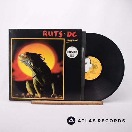 Ruts DC Animal Now LP Vinyl Record - Front Cover & Record