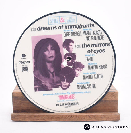 Sandii & The Sunsetz - Dreams Of Immigrants - Picture Disc 7" Vinyl Record - VG+