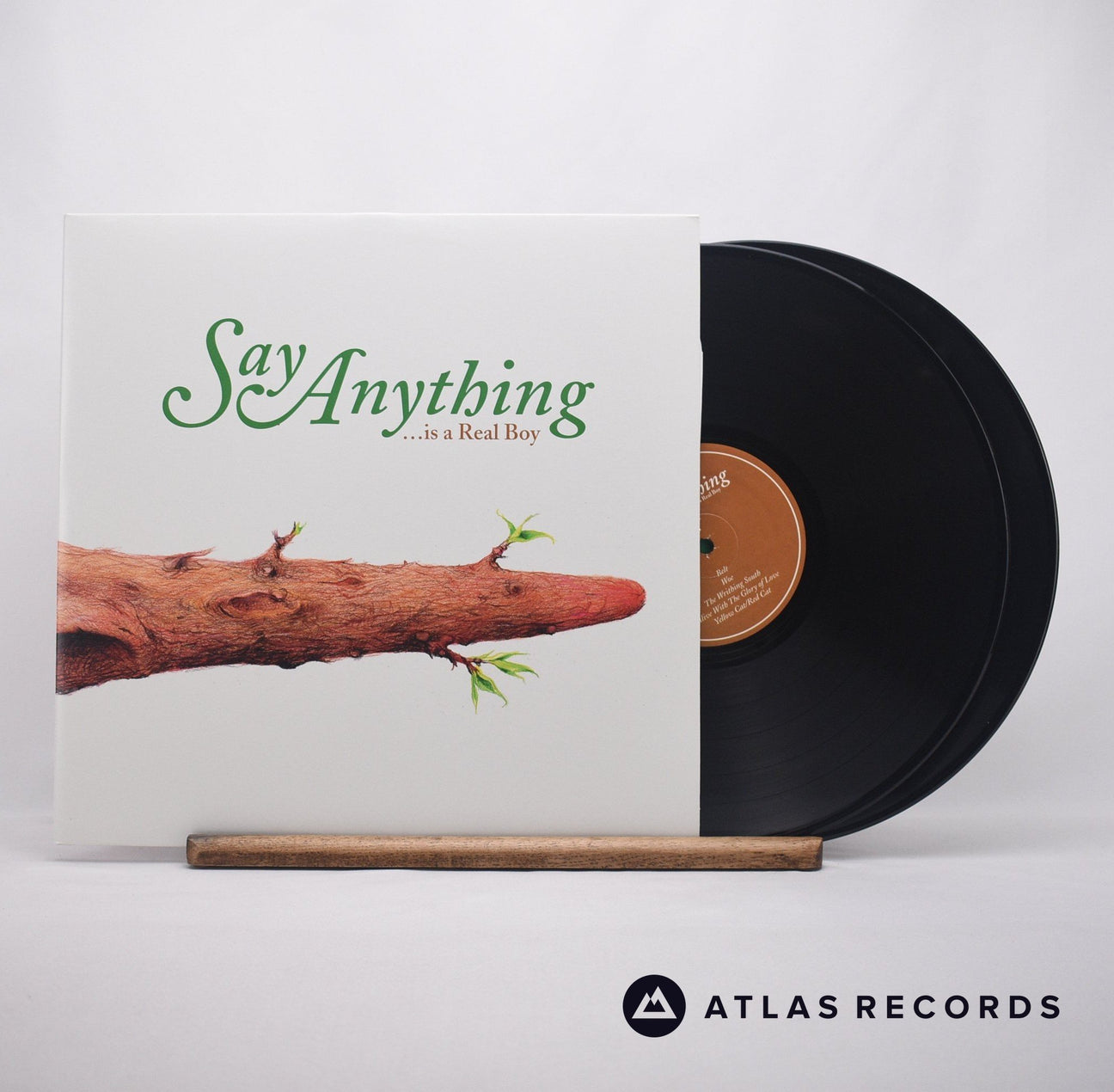 Say Anything ...Is A Real Boy Double LP Vinyl Record - Front Cover & Record