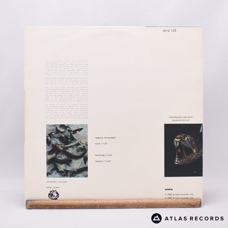 Shriekback - Nemesis (Extended) - Limited Edition 2 x 12" Vinyl Record - EX/EX