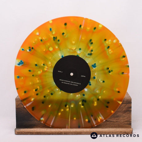 Silent Whale Becomes A° Dream - Canopy - LP Vinyl Record
