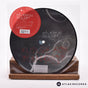 Silversun Pickups Future Foe Scenarios 7" Vinyl Record - Front Cover & Record