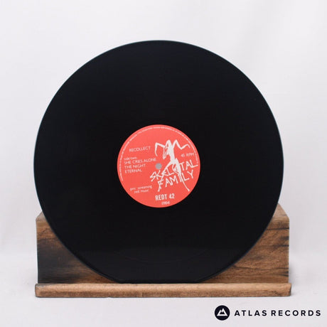 Skeletal Family - Recollect - Mpo Porky A1 B1 12" Vinyl Record - EX/EX