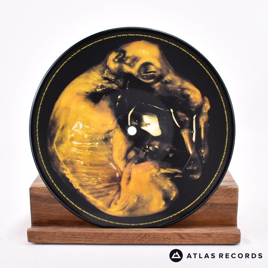 Slipknot - Left Behind - Picture Disc 7" Vinyl Record - NM