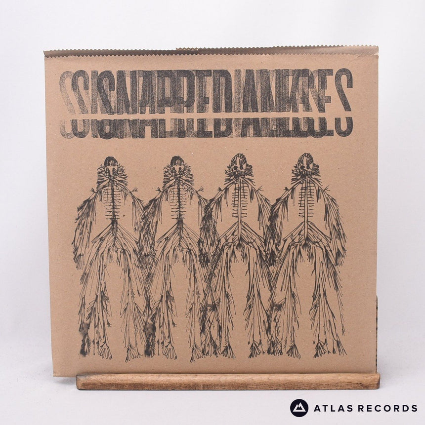 Snapped Ankles Forest Of Your Problems LP Vinyl Record - Front Cover & Record