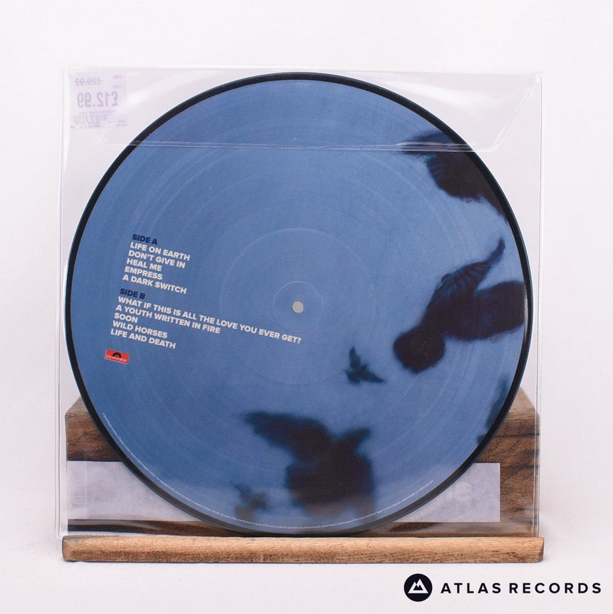 Snow Patrol - Wildness - Limited Edition Picture Disc LP Vinyl Record - NM