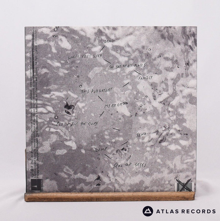 Spectres - Dead - Limited Edition Double LP Vinyl Record - NM/NM