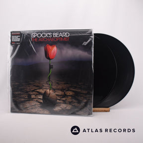 Spock's Beard The Archaeoptimist 2 x LP Vinyl Record - Front Cover & Record