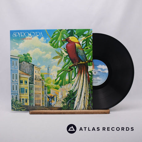 Spyro Gyra Carnaval LP Vinyl Record - Front Cover & Record