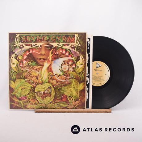 Spyro Gyra Morning Dance LP Vinyl Record - Front Cover & Record
