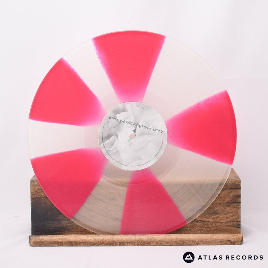 Starsailor - Where The Wild Things Grow - 1/A 2/A LP Vinyl Record - NM/NM