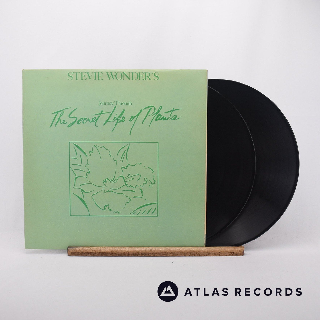Stevie Wonder Journey Through The Secret Life Of Plants 2 x LP Vinyl Record - Front Cover & Record