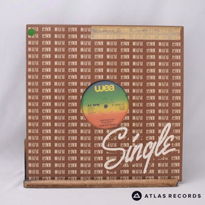 Surface Noise The Scratch 12" Vinyl Record - In Sleeve