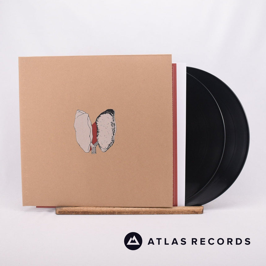 Swans The Beggar Double LP Vinyl Record - Front Cover & Record