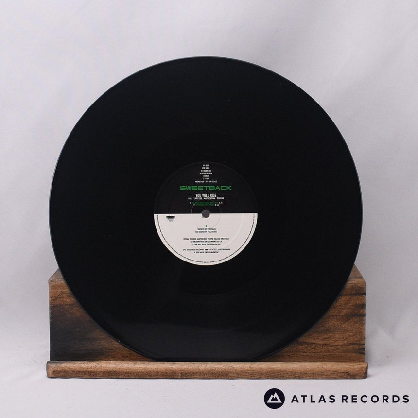 Sweetback - You Will Rise - Promo 12" Vinyl Record - VG+/EX