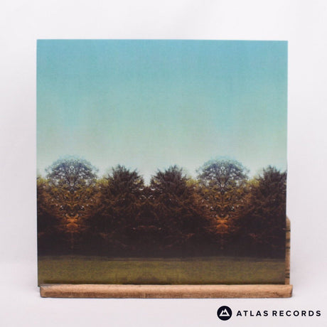Temples - Sun Structures - Insert Us A B LP Vinyl Record - NM/NM