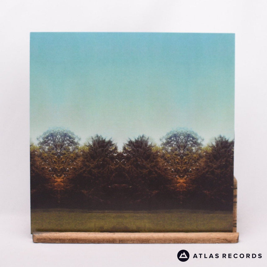 Temples - Sun Structures - Insert Us A B LP Vinyl Record - NM/NM