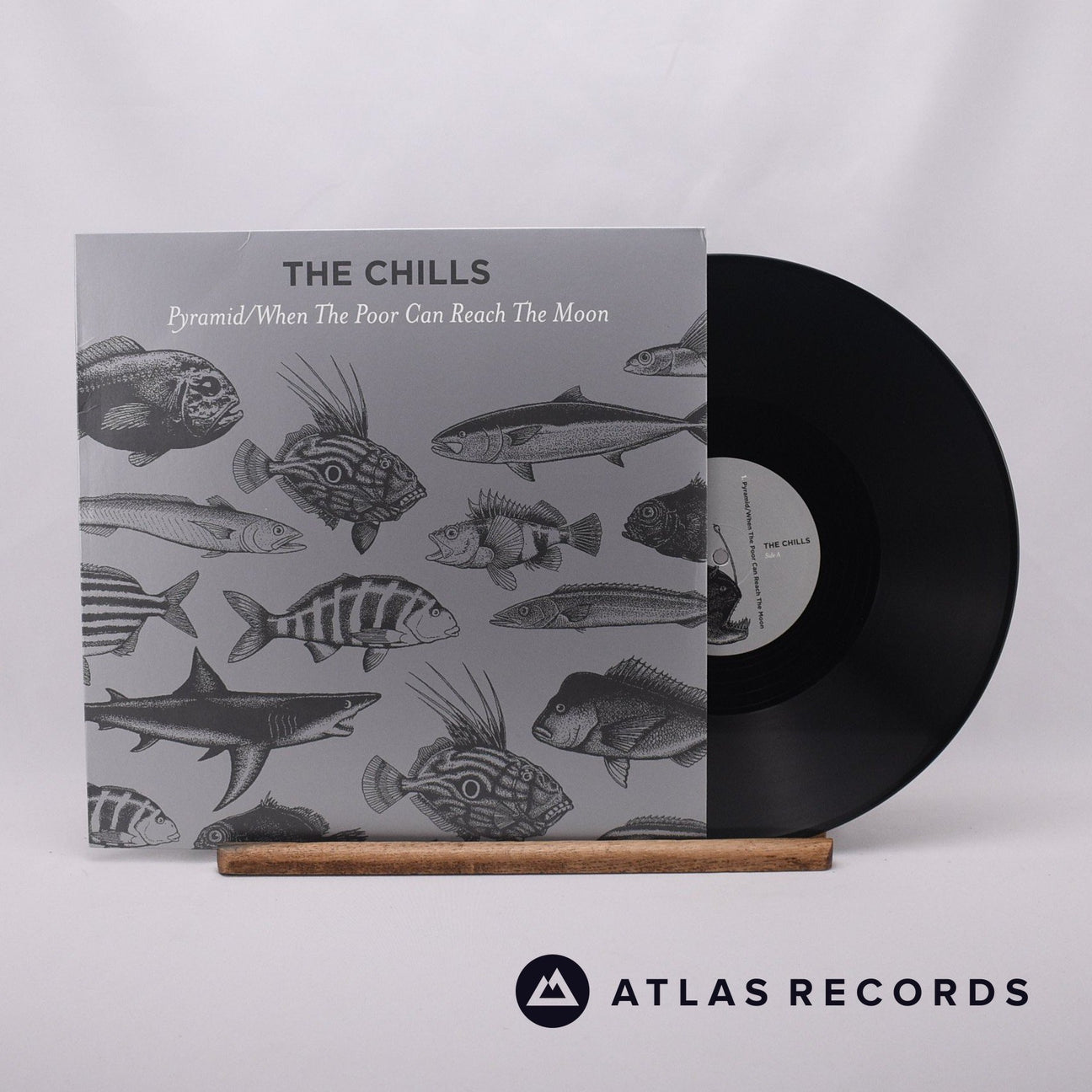 The Chills Pyramid 12" Vinyl Record - Front Cover & Record