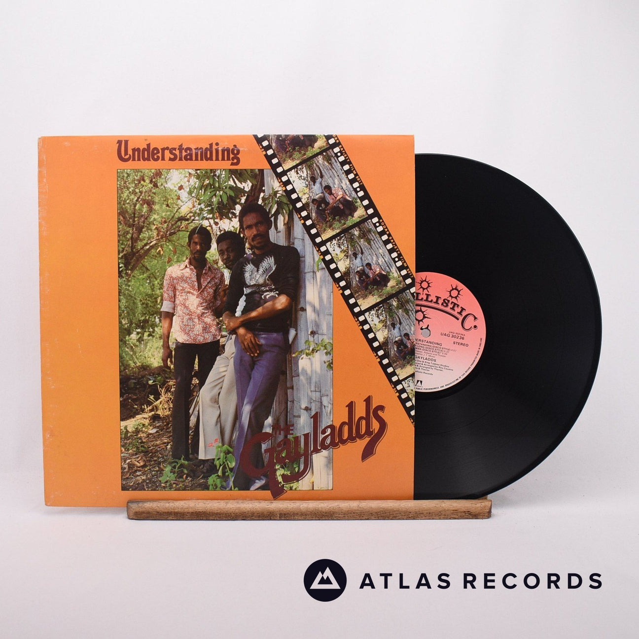The Gaylads Understanding LP Vinyl Record - Front Cover & Record