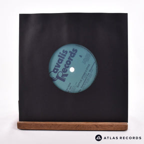 The Government Bottle, Stone & Stick 7" Vinyl Record - In Sleeve