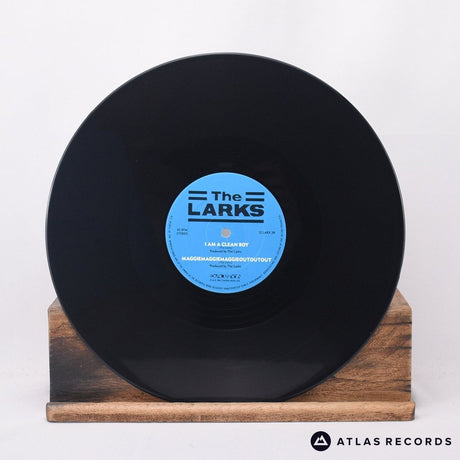 The Larks - Pain In The Neck - 12" Vinyl Record - EX/VG+