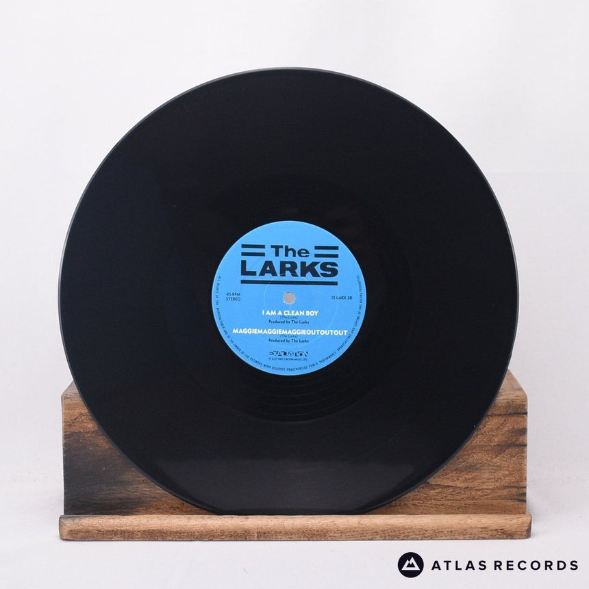 The Larks - Pain In The Neck - 12" Vinyl Record - EX/VG+