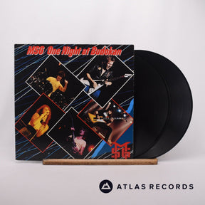 The Michael Schenker Group One Night At Budokan 2 x LP Vinyl Record - Front Cover & Record