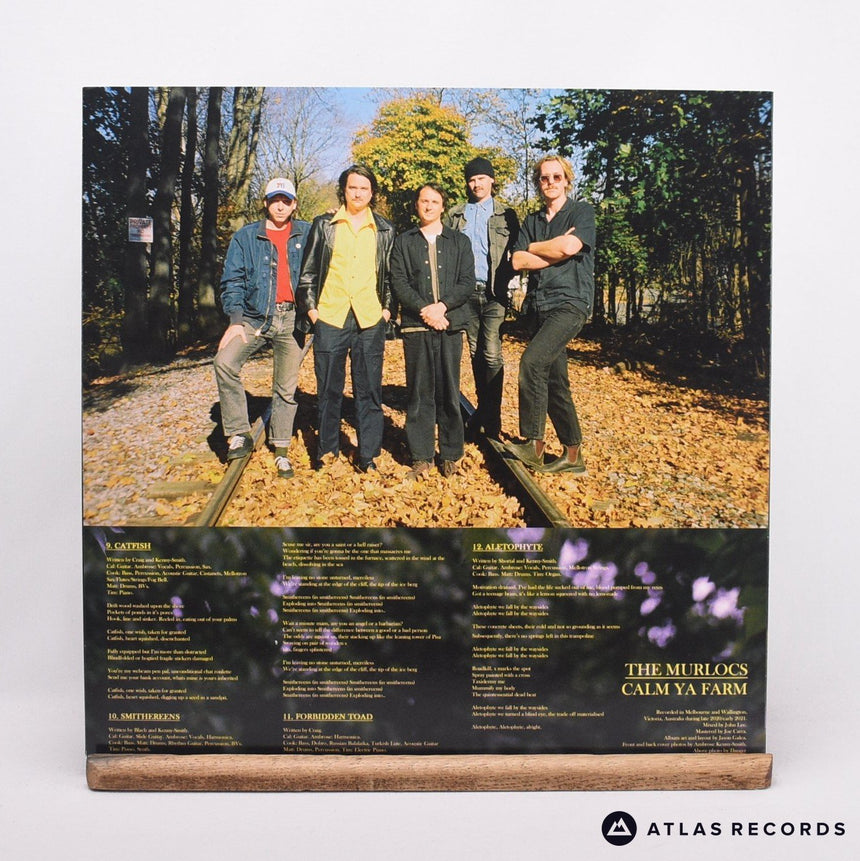 The Murlocs - Calm Ya Farm - LP Vinyl Record - NM/NM
