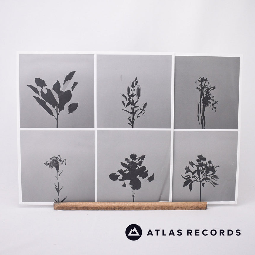 The Naked And Famous - In Rolling Waves - 180G A1 B1 2 x LP Vinyl Record - EX/NM