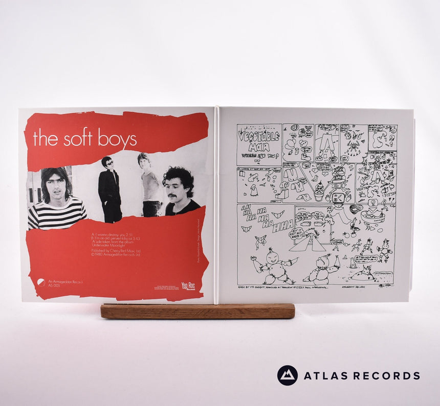 The Soft Boys - I Wanna Destroy You - Limited Edition 2 x 7" Vinyl Record - NM/NM