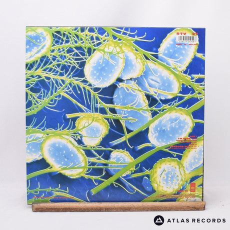 The Soup Dragons - I'm Free - 12" Vinyl Record - EX/EX