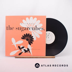 The Sugarcubes Birthday 12" Vinyl Record - Front Cover & Record
