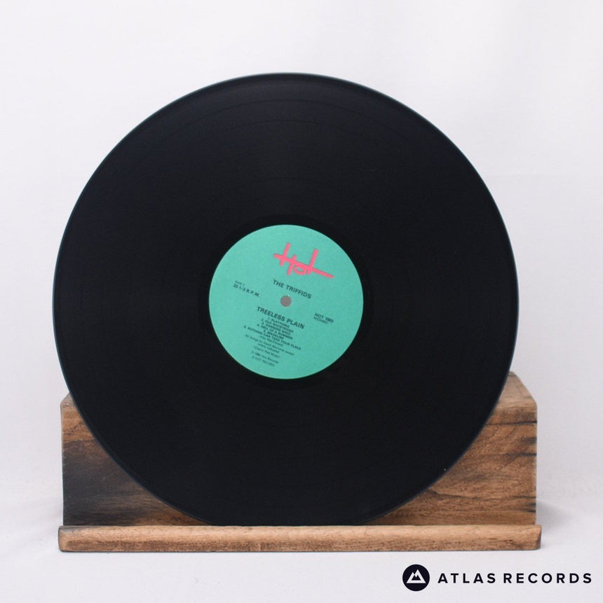 The Triffids - Treeless Plain - Lyric Sheet LP Vinyl Record - VG+/EX