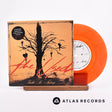 The Used Take It Away 7" Vinyl Record - Front Cover & Record