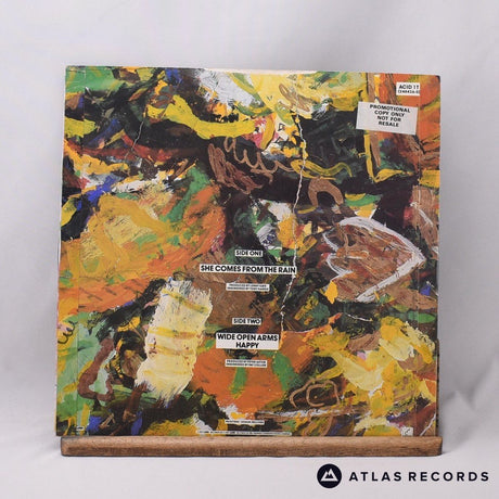 The Weather Prophets - She Comes From The Rain - 12" Vinyl Record - EX/EX