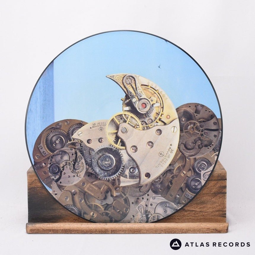 Thunder - Everybody Wants Her - 12" Vinyl Record - EX/EX