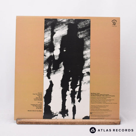 Tony Banks - A Curious Feeling - LP Vinyl Record - EX/EX