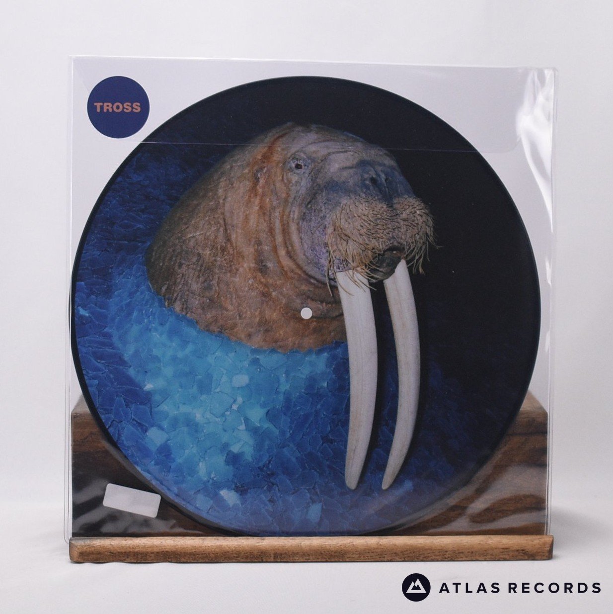 Tross The Walrus EP 12" Vinyl Record - In Sleeve
