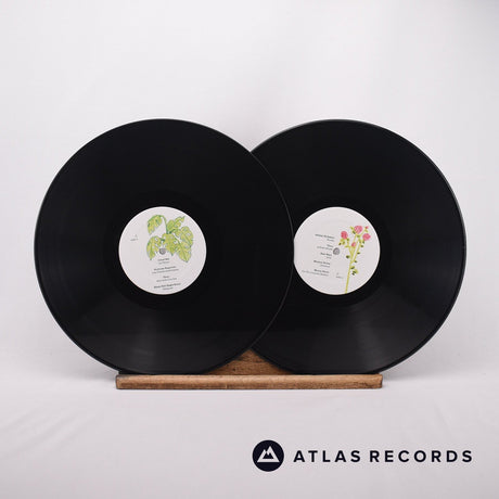 Various - Ô - A Tribute To Ô Paon And Geneviève Castrée - 2 x LP Vinyl Record