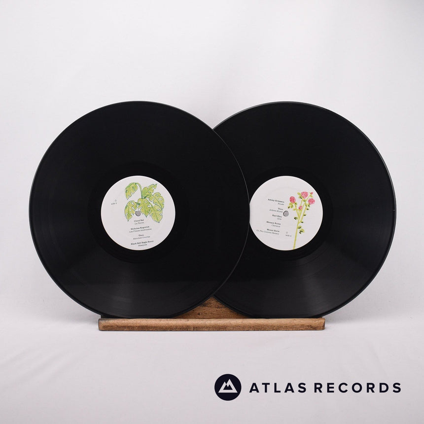 Various - Ô - A Tribute To Ô Paon And Geneviève Castrée - 2 x LP Vinyl Record