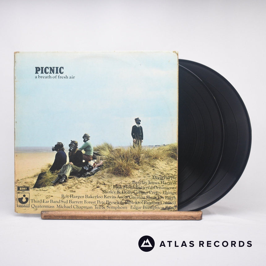 Various Picnic Double LP Vinyl Record - Front Cover & Record